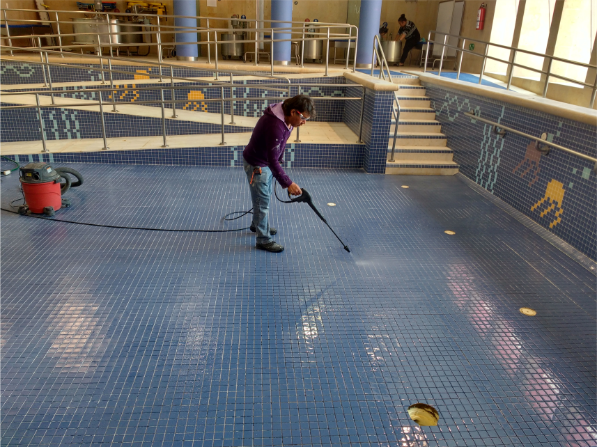 Invernadero Animal Puercos