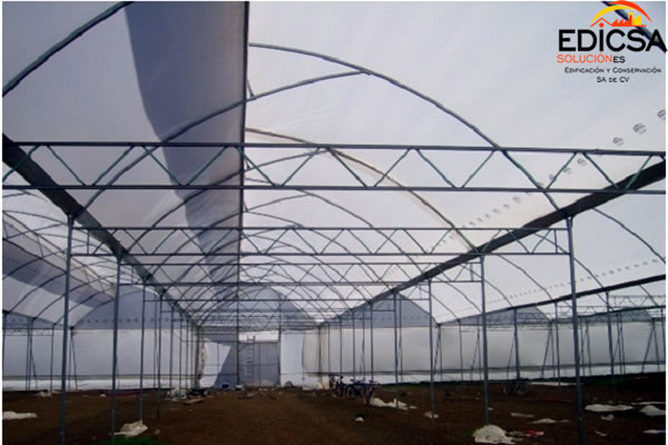 Invernadero Microclima