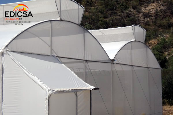 Invernadero Microclima