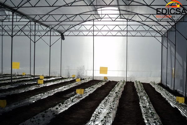 Invernadero Microclima